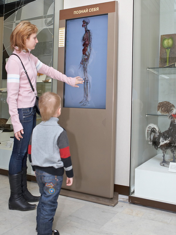 Экспозиции: Новый интерактивный экспонат в экспозиции Дарвиновского музея .

