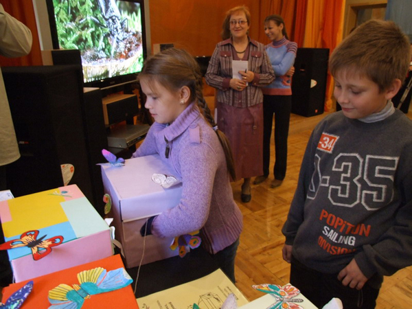 Экспозиции: Насекомые крупным планом в Саратовском музее краеведения
