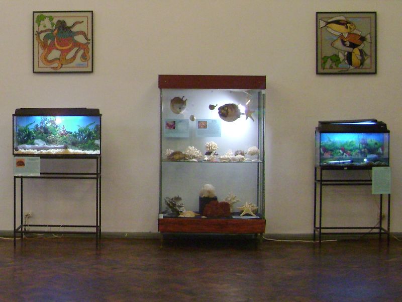 Экспозиции: Выставка Планета чудес в Рыбинском музее
