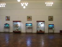 Выставка Планета чудес в Рыбинском музее
