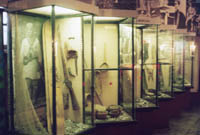 Фрегмент экспозиции Шорцы - коренные жители юга Кузбасса, 2001
