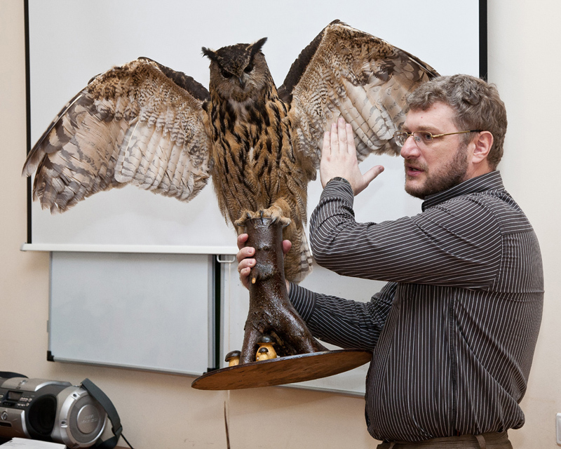 Экспозиции: День птиц в Дарвиновском музее
