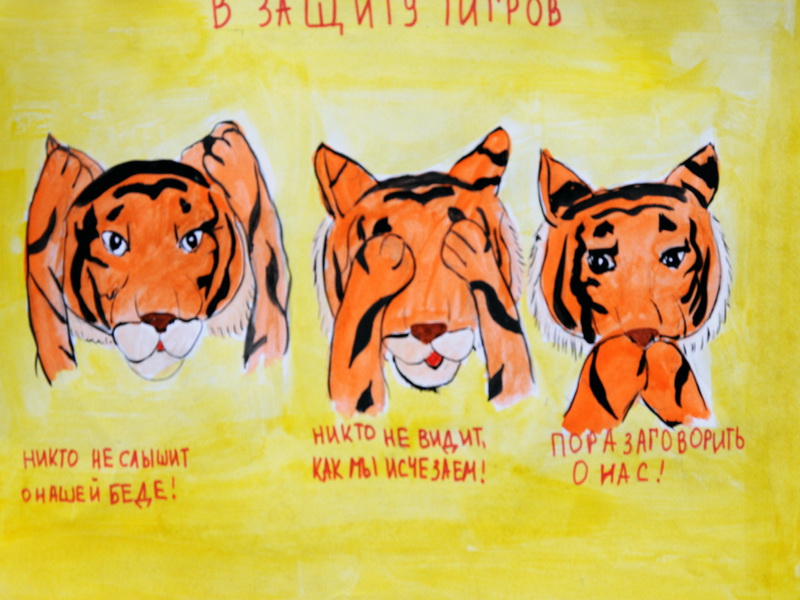 Экспозиции: В полосатый рейд, друзья Тигра!
