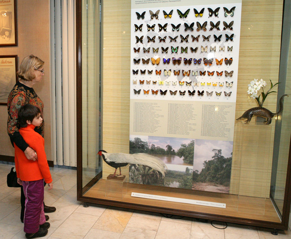Экспозиции: Цветов летучий рой… в Дарвиновском музее
