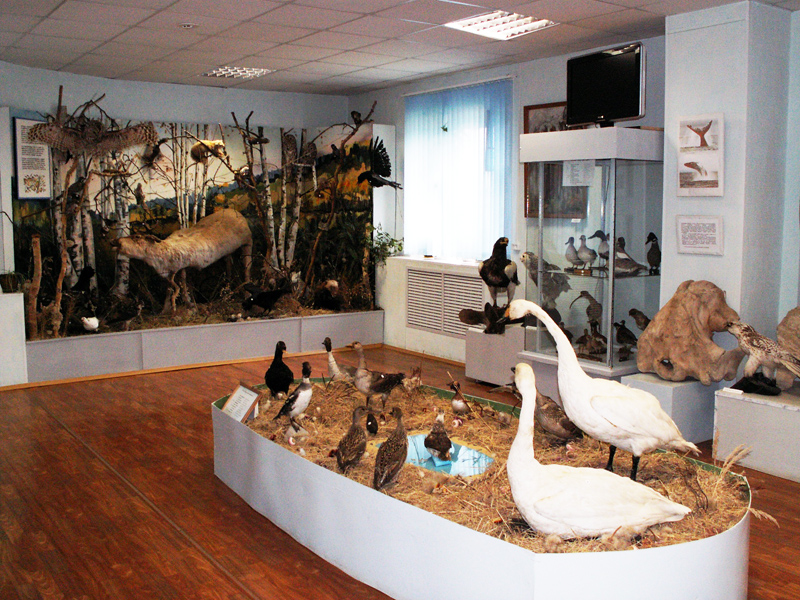 Экспозиции: Зал природного комплекса
