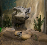 Экспозиция музея с новыми интерактивными динозаврами
