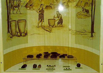 Экспозиции: Фрагмент экспозиции археологии. Памятники неолитической эпохи. 4-3 тыс. до н.э.
