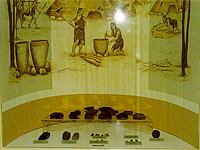 Фрагмент экспозиции археологии. Памятники неолитической эпохи. 4-3 тыс. до н.э.
