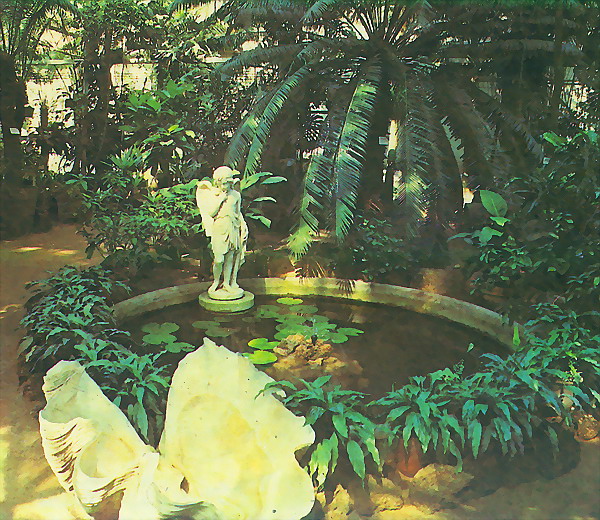 Экспозиции: В тропической оранжерее. Ботанический сад, Петербург
