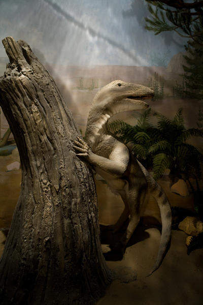 Экспозиции: Экспозиция музея с новыми интерактивными динозаврами

