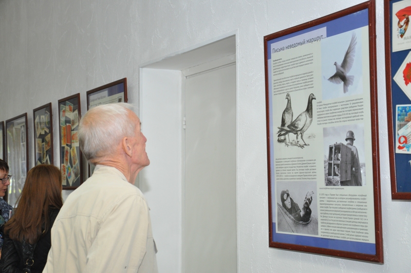 Экспозиции: На выставке Жду ответа. История Новосибирска в письмах
