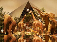 Экспозиции: Июль-2013 в Государственном Дарвиновском музее
