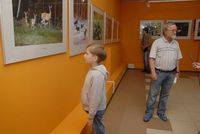 Экспозиции: «Удивительная фотоохота» в Музее природы
