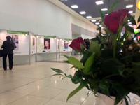Экспозиции: «Красота зрелого возраста» в аэропорту Шереметьево
