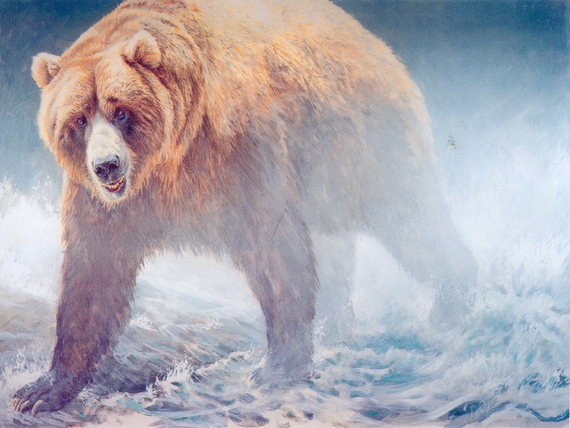 Экспозиции: Бурый медведь. 2009.
