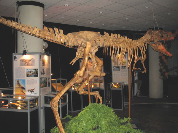 Экспозиции: В  Саратовском музее краеведения открылась выставка Мир динозавров
