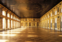 Экспозиции: Большой зал (Екатерининский дворец)
