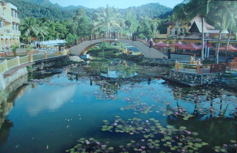 Экспозиции: Фото. Малайзия. Озеро с лотосами
