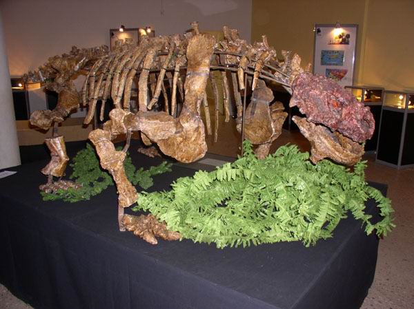Экспозиции: Скутозавр, возраст 245 млн. лет
