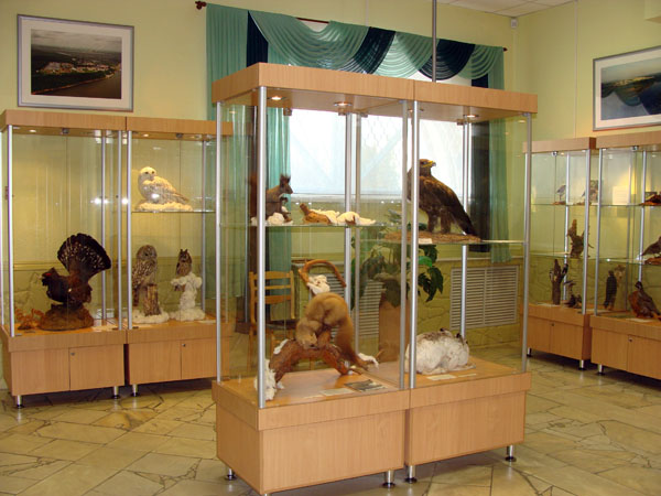 Экспозиции: Зоологическая выставка
