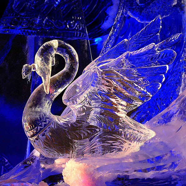 Экспозиции: Сказочный лебедь
