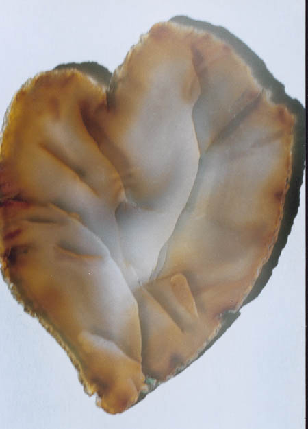 Экспозиции: Разбитое сердце Жугана Халцедон. Чукотка. Полированная пластинка.
