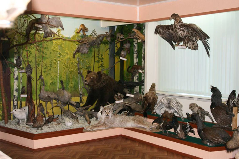 Экспозиции: Зал Животный мир

