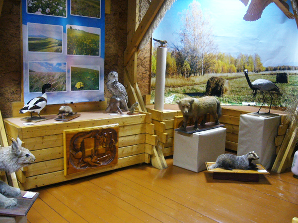 Экспозиции: Выставка Природа Кемеровской области
