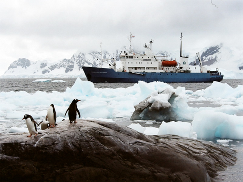 Экспозиции: Фотовыставка Клима Колосова «Антарктическая Классика»
