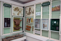 Экспозиция музея
