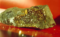 Штуф медно-колчедановой руды Урупского месторождения с друзой кристаллов халькопирита.
