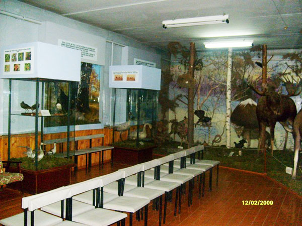Экспозиции: Зал флоры и фауны Егорьевского района

