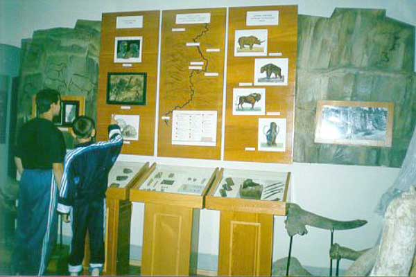 Экспозиции: Фрагмент выставки Территория Нижнеудинского района в древности

