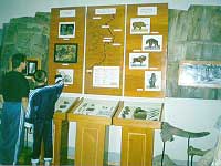 Фрагмент выставки Территория Нижнеудинского района в древности
