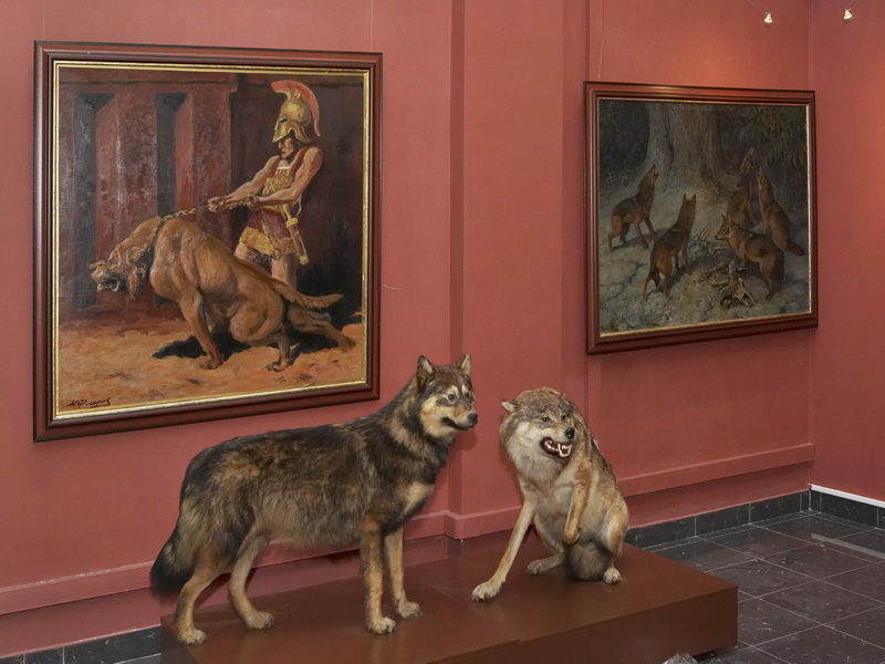 Экспозиции: «Волк становится собакой».
