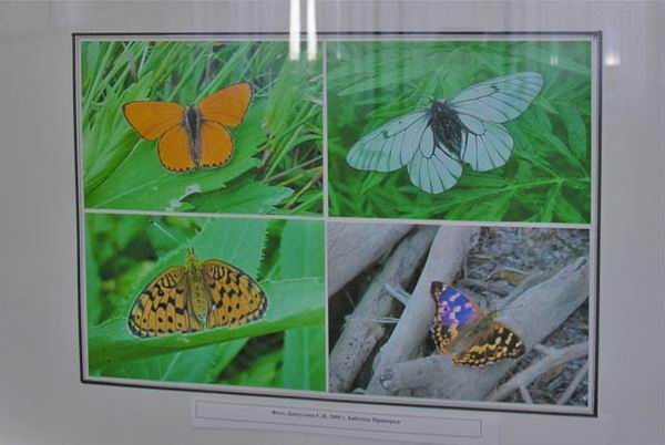 Экспозиции: Выставка Сохраним природу вместе
