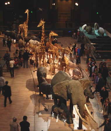 Экспозиции: Национальный музей естественной истории Франции
