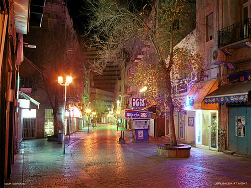 Экспозиции: Деревья Иерусалима в ночи - ночной Иерусалим
