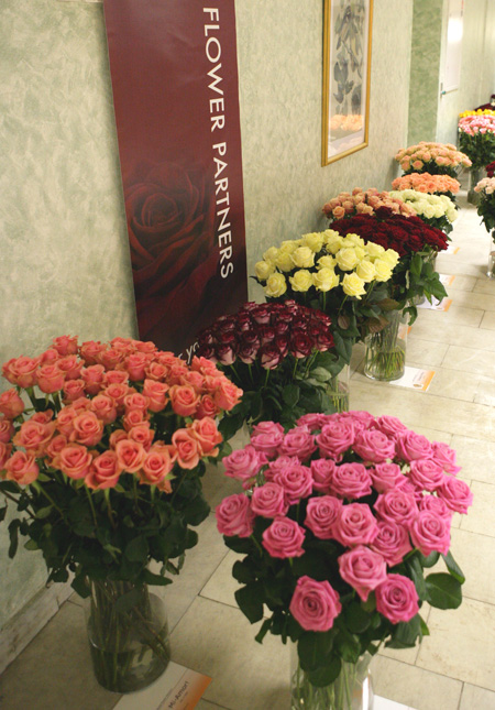 Экспозиции: Голландские дизайнеры сделали праздник из голландских роз
