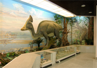 Экспозиции: Диорама Эпоха динозавров в Приамурье в экспозиции Музей Амура
