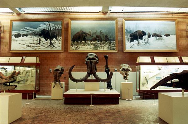 Экспозиции: Зал кайнозоя (млекопитающих)
