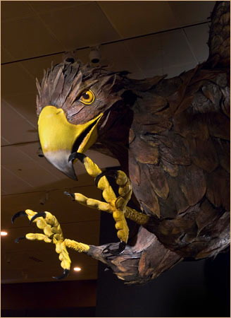 Экспозиции: Американский музей естественной истории представляет: Энциклопедия вымышленных существ
