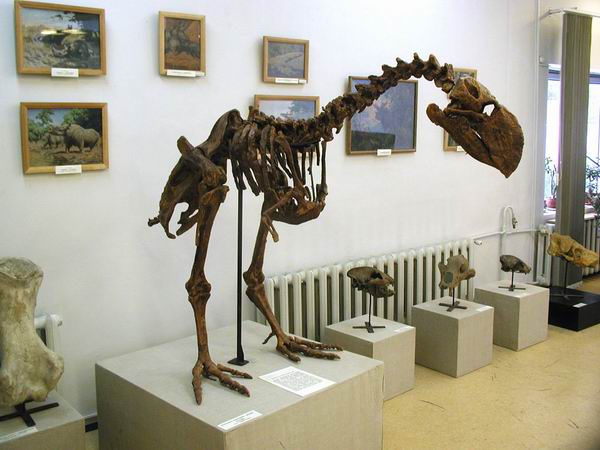 Экспозиции: Прошлое земли или новое путешествие в эпоху динозавров

