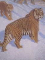 В.А. Ватагин. Амурский тигр

