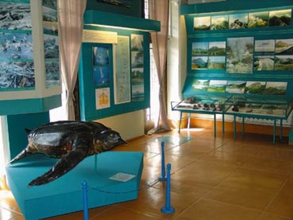 Экспозиции: Сахалинский музей

