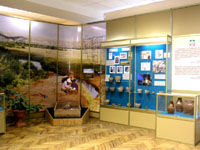 Экспозиции: Общий вид зала археологии
