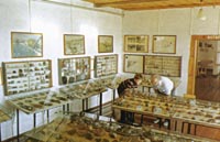 Экспозиции: Фрагмент экспозиции Коллекция минералов и горных пород
