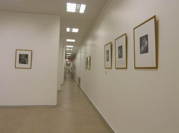 Экспозиции: Образ фотографии в ХIХ и ХХ веках
