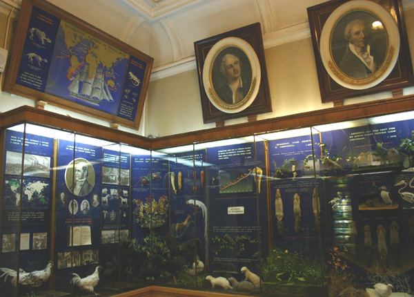 Экспозиции: Биологическому музею им. К.А. Тимирязева 85 лет

