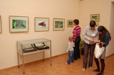 Выставка «Бабочки пушкинского детства» в Палатах г.Владимира
